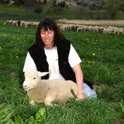 Sonia - Vente directe d'agneaux